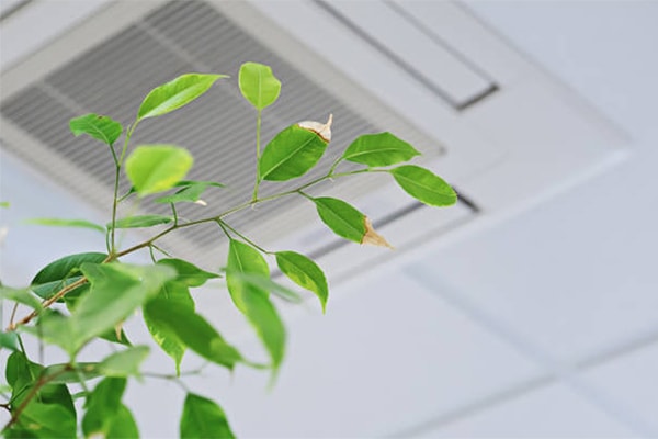 vvs roskilde ventilation sundt indeklima